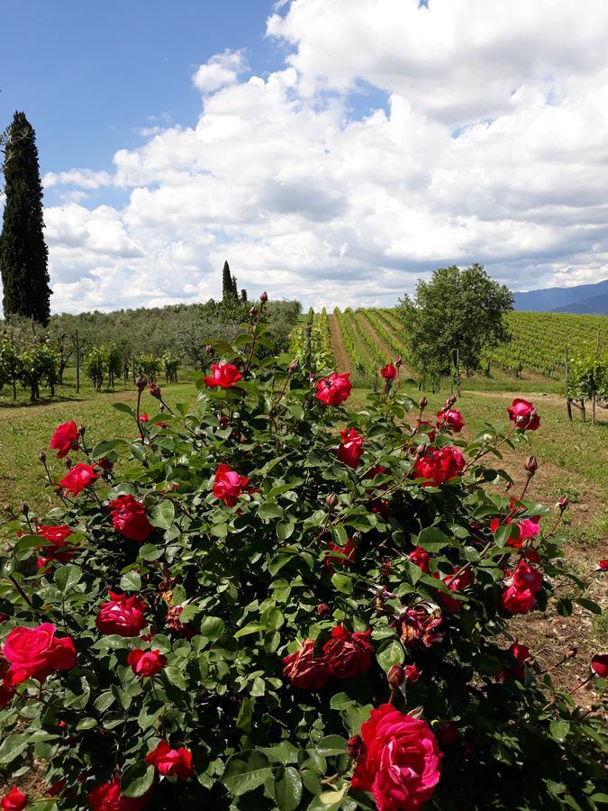 La Vecchia Quercia Βίλα Pergine Valdarno Εξωτερικό φωτογραφία