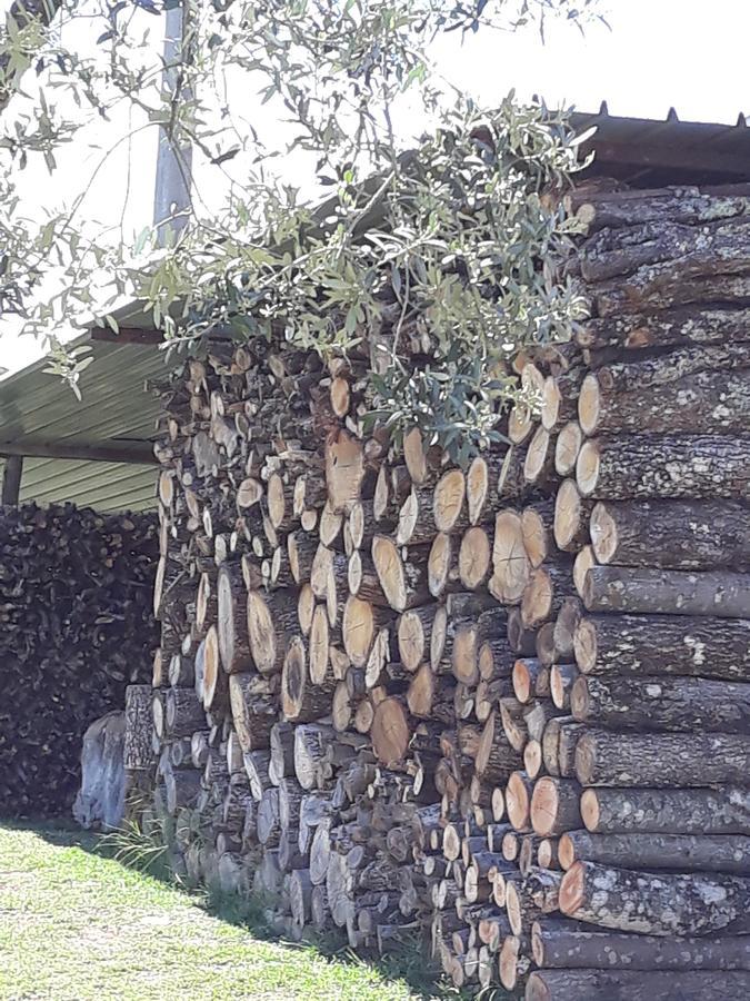 La Vecchia Quercia Βίλα Pergine Valdarno Εξωτερικό φωτογραφία